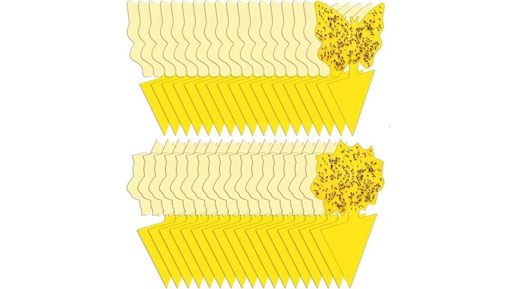 bulk indoor fruit fly traps