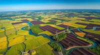 earth soil regeneration visions