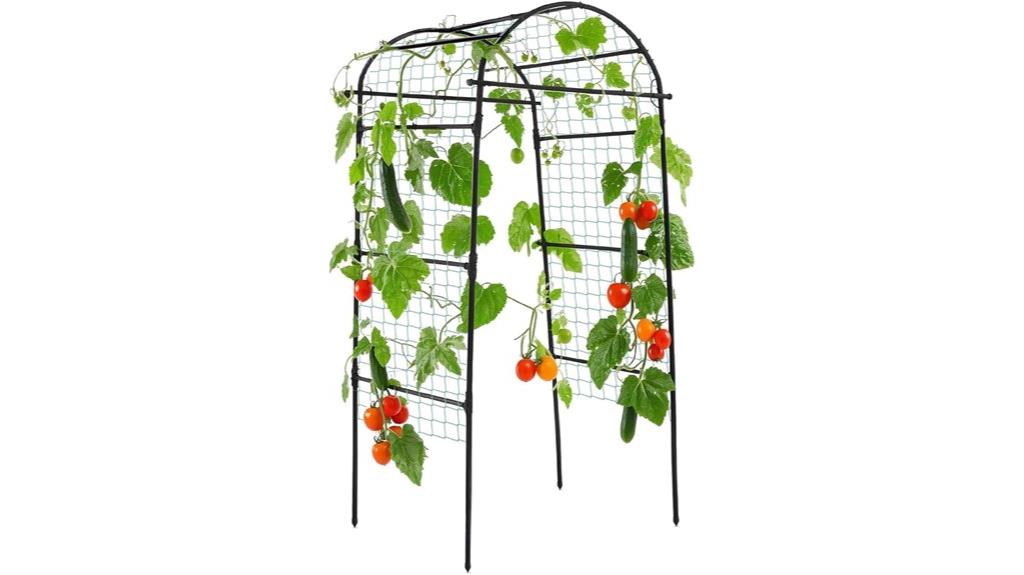 garden arch for climbing plants