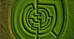 meadow labyrinths with mowed paths