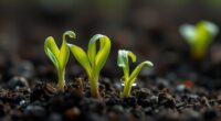 monitoring young plant progress
