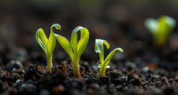 monitoring young plant progress