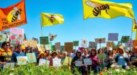 opposing neonicotinoid pesticides