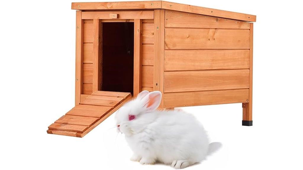 outdoor cat shelter