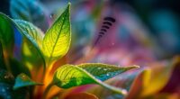 plant stress relief sounds