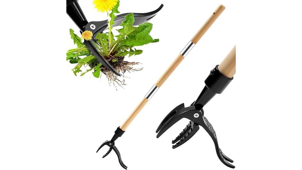 removable long handle weed tool