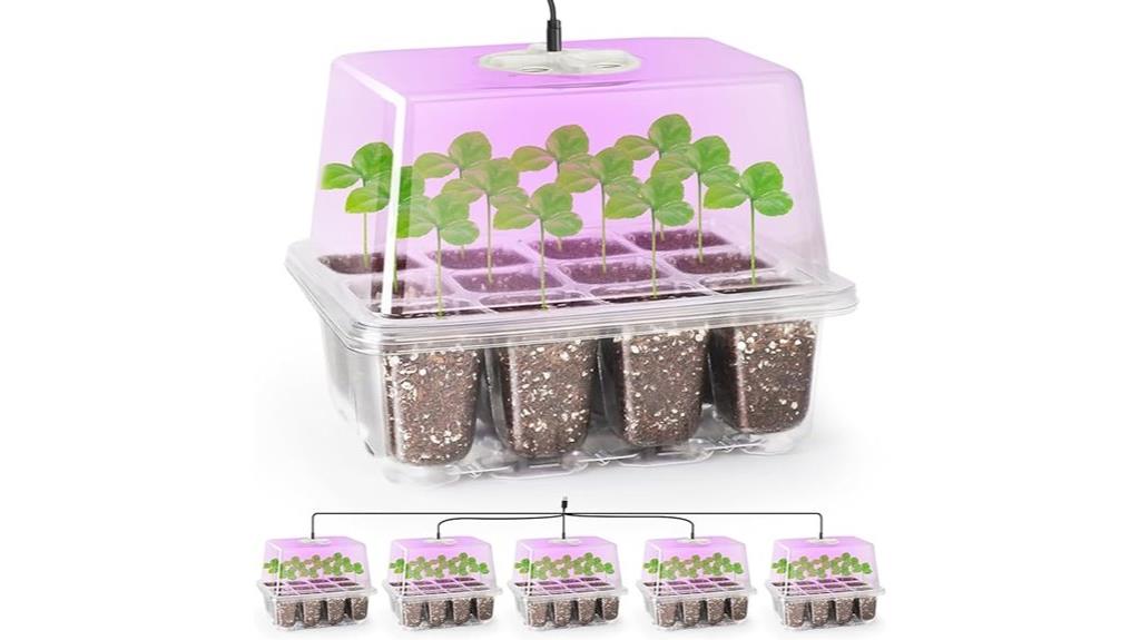 seedling trays with grow light