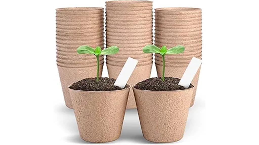 small biodegradable plant pots