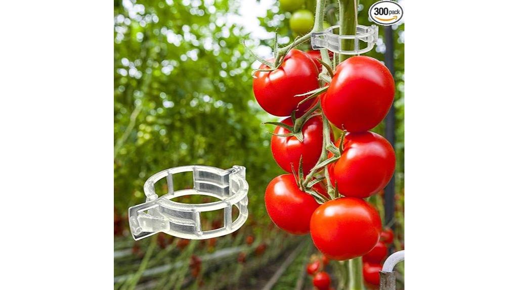 tomato support clips pack