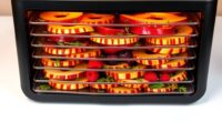 top 15 10 tray food dehydrators