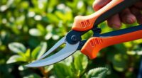 top arthritis friendly pruners