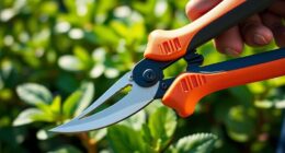 top arthritis friendly pruners