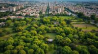 urban heat island mitigation