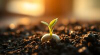 visualize seeds sprouting growth