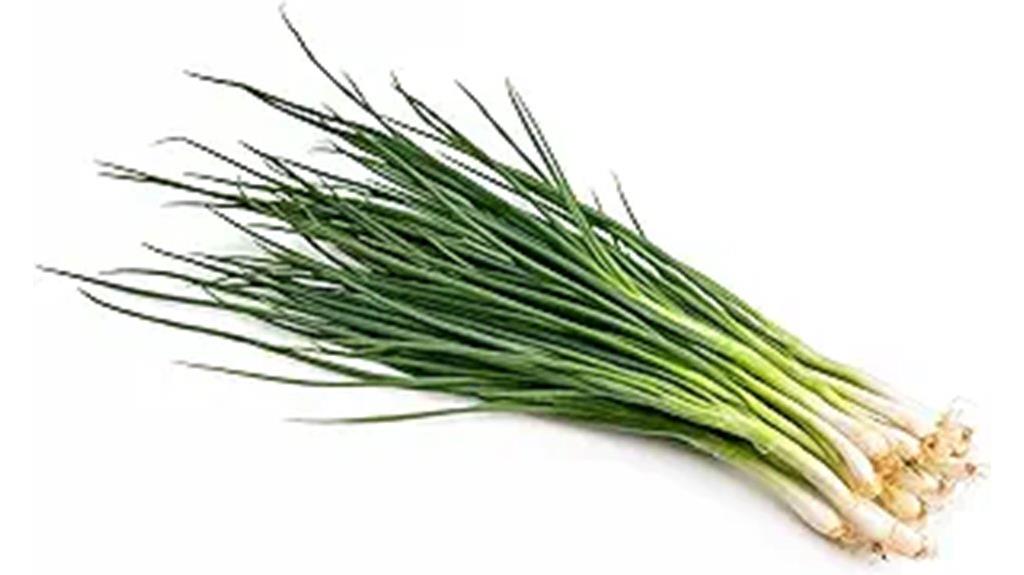 white lisbon bunching onion