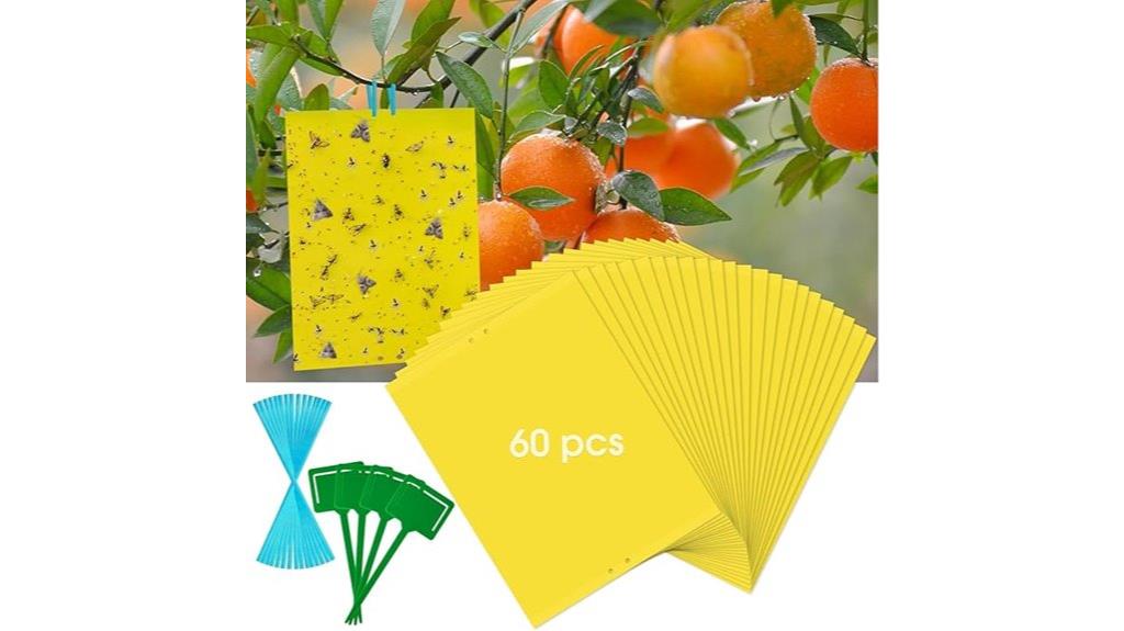 yellow sticky gnat traps