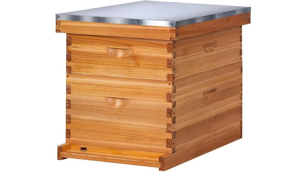 10 frame beekeeping kit