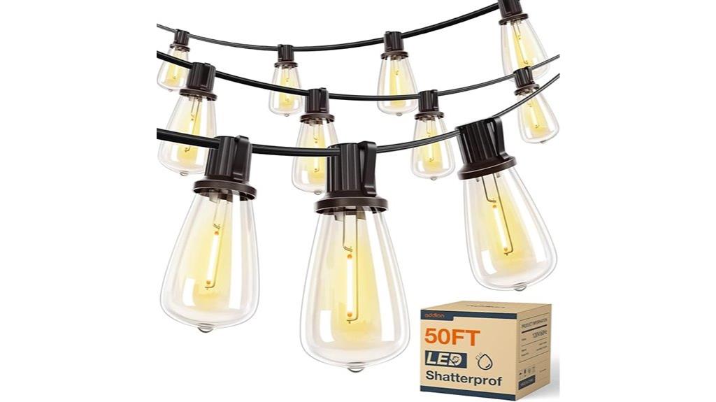 50ft vintage edison lights