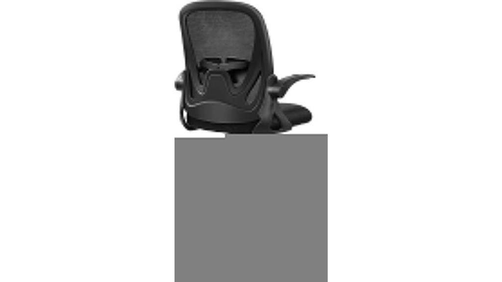 adjustable arm lumbar support