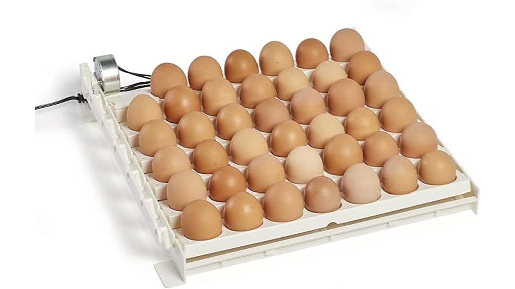 automatic egg incubator turner