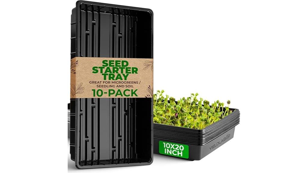 black plastic propagation trays