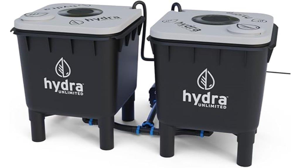 deep water culture hydroponic