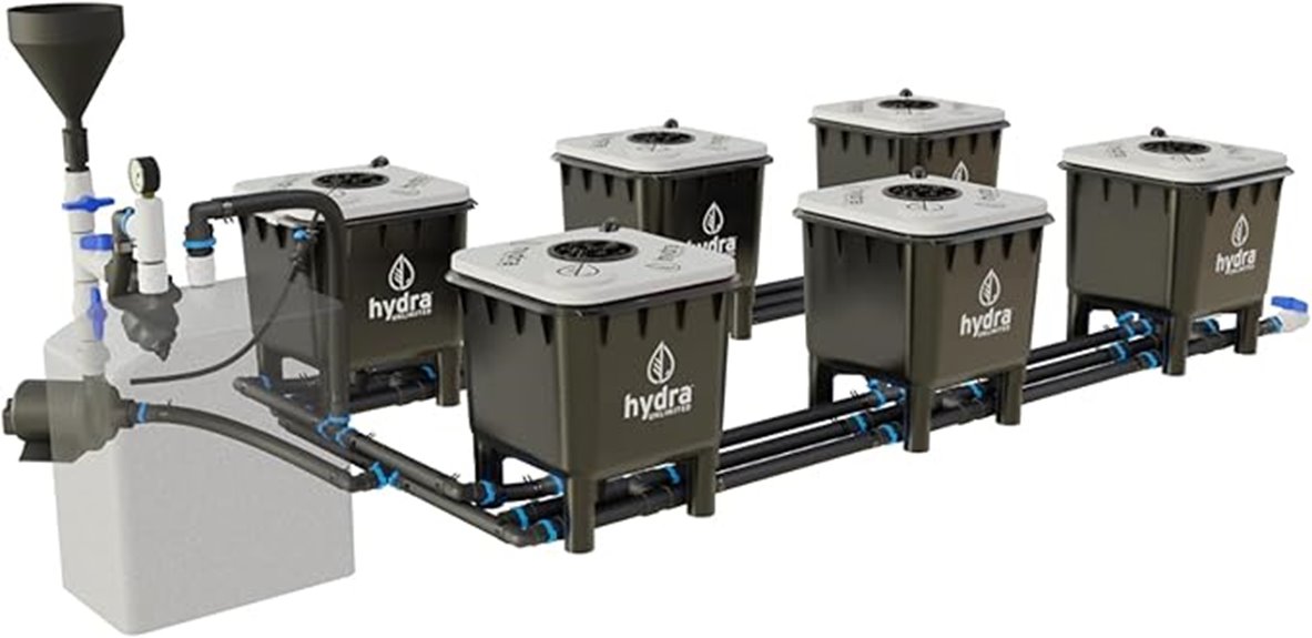deep water culture system