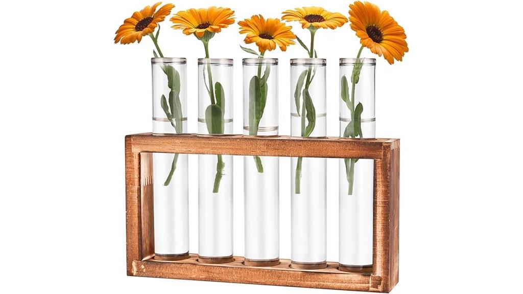 desktop glass plant propagation