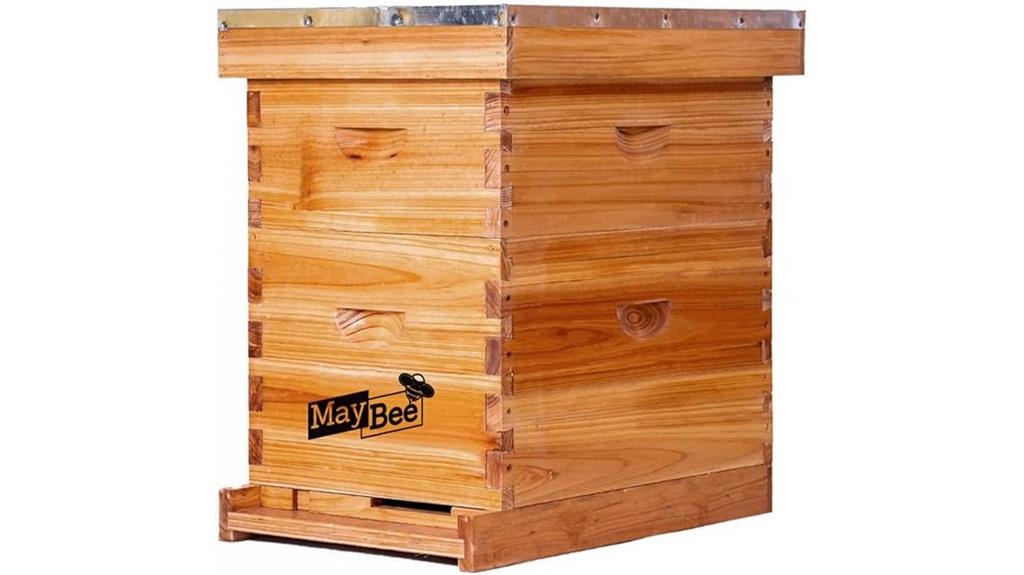 eight frame bee hive starter