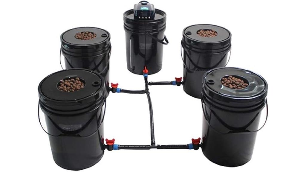 five gallon dwc hydroponic system
