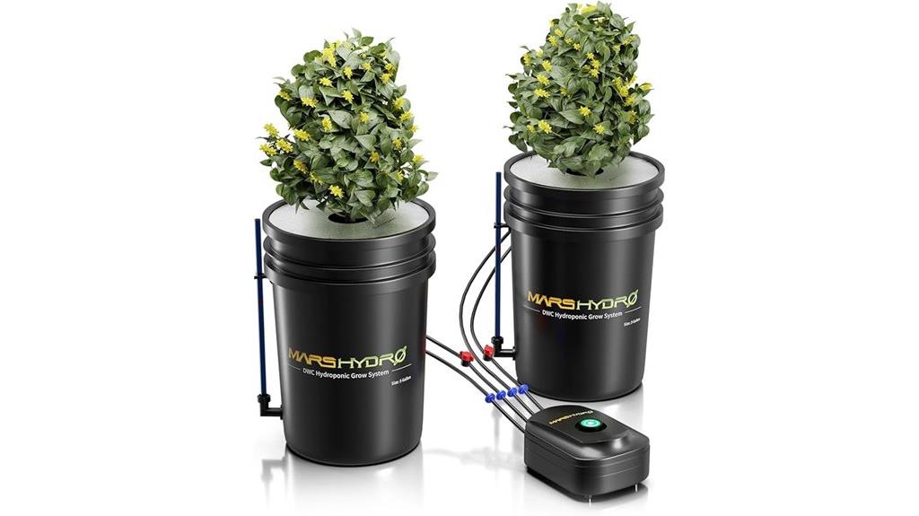 five gallon dwc system