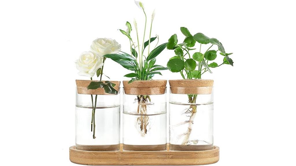 glass terrarium plant set