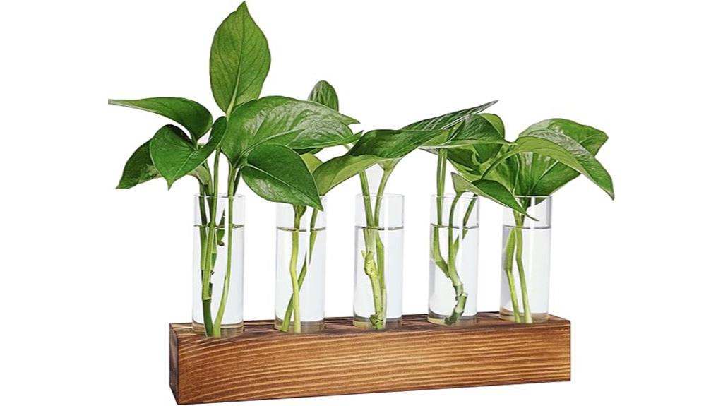 glass test tube propagation station