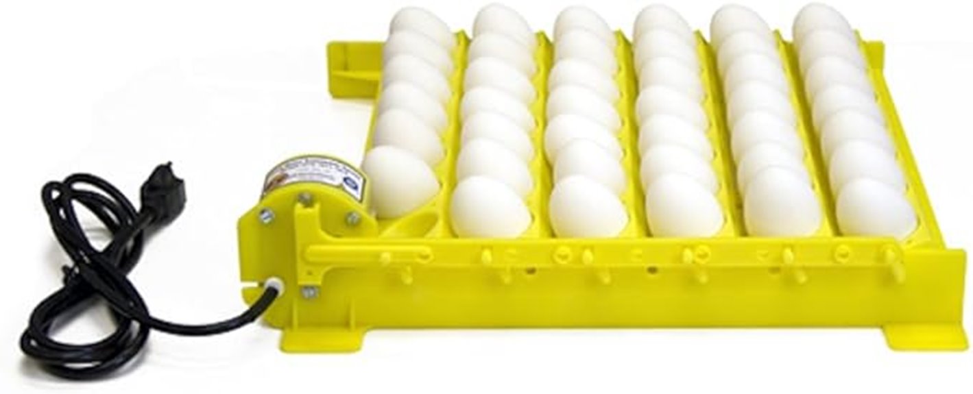 hova bator egg incubator