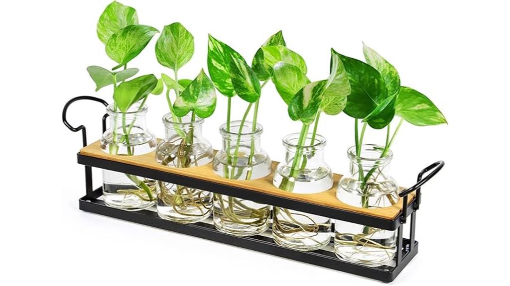 plant propagation metal stand