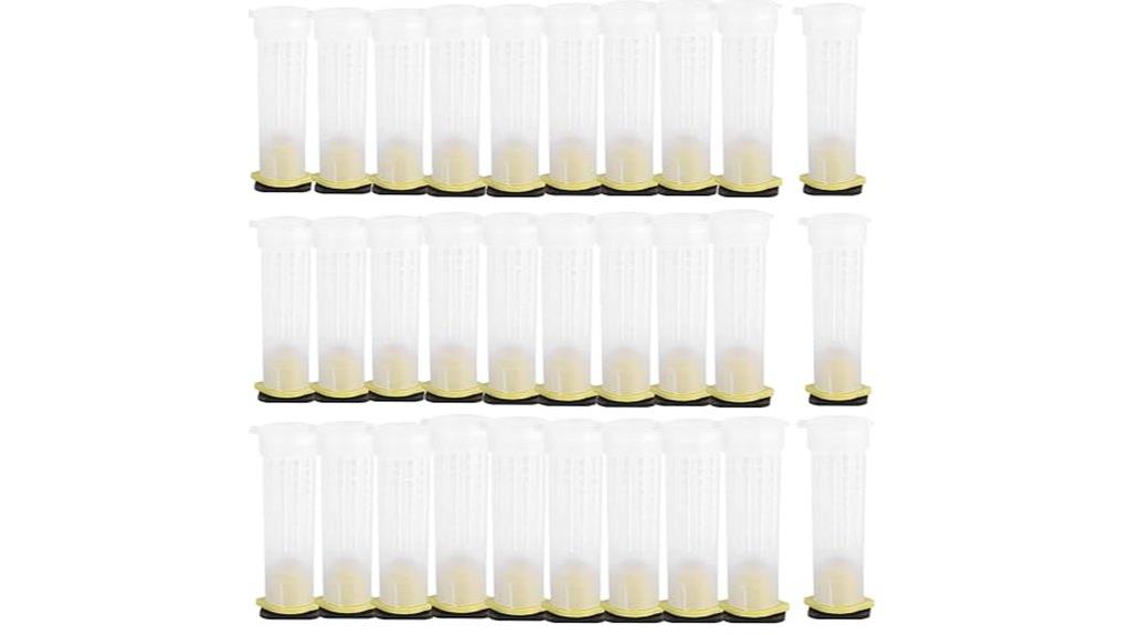 queen bee cage set