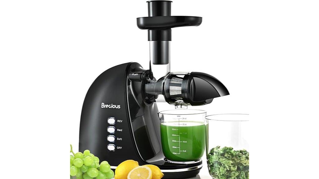 slow juicer with two speeds