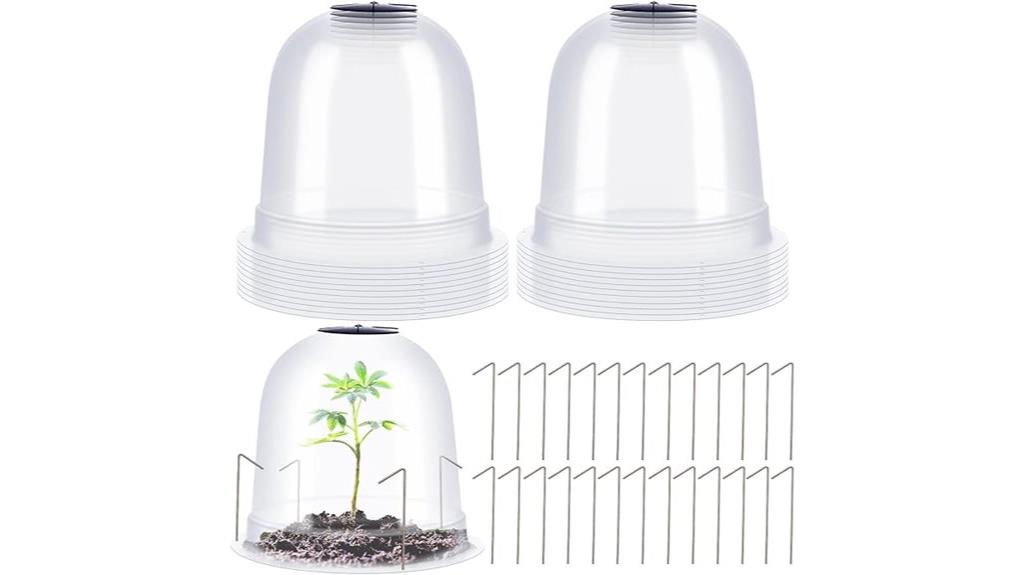small garden cloche protectors
