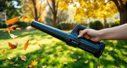 top cordless leaf blower picks