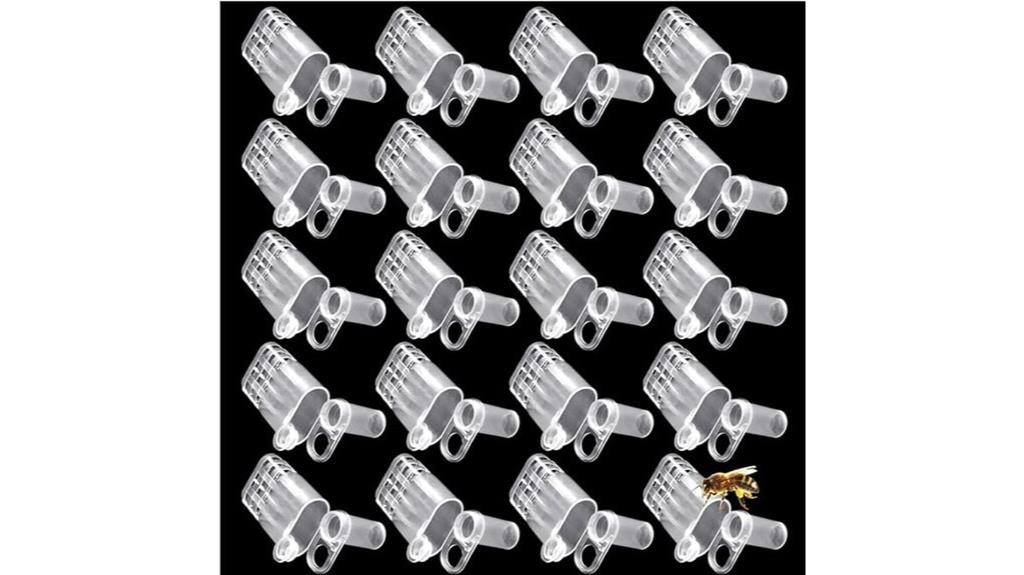 white queen bee cages