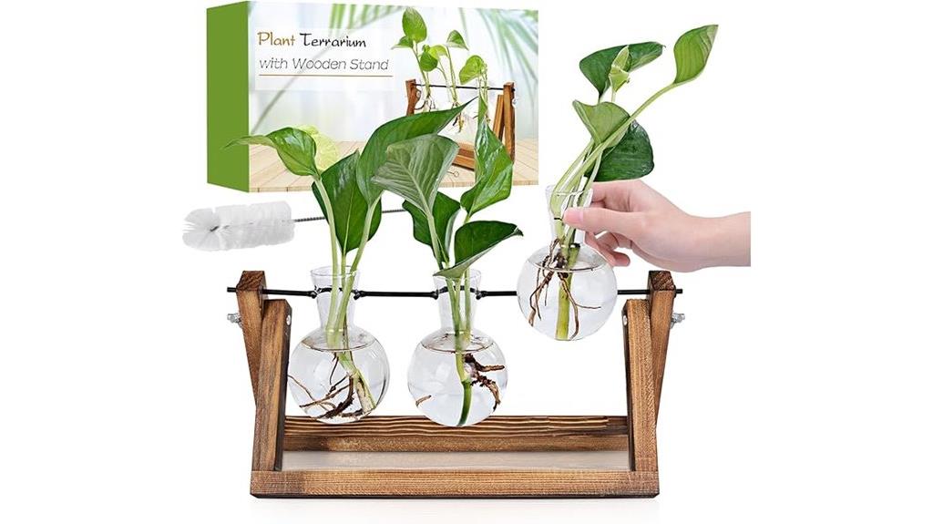 wooden plant propagation station
