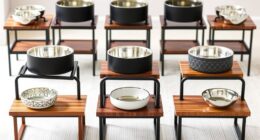 adjustable elevated pet bowls