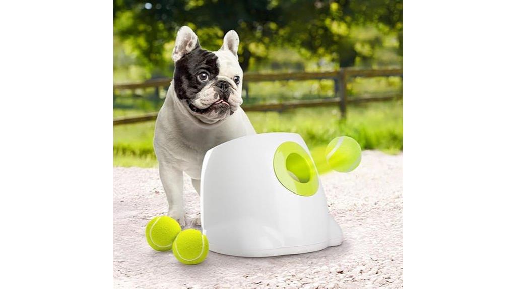 automatic dog ball thrower