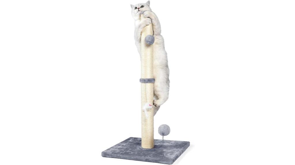 cat scratching post