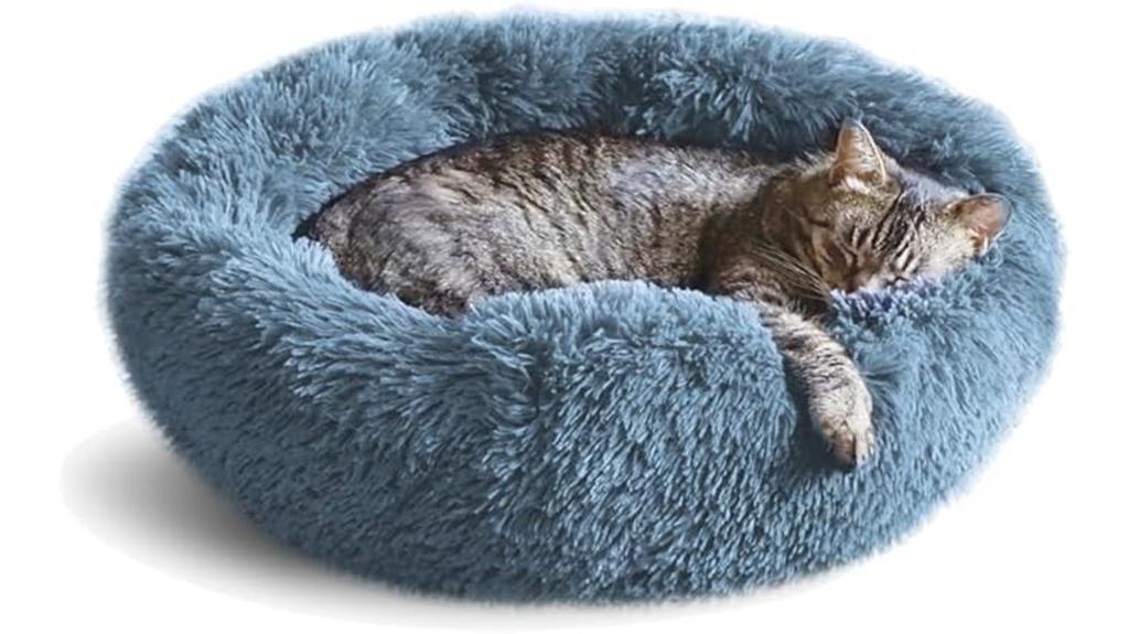 comfortable indoor cat bed
