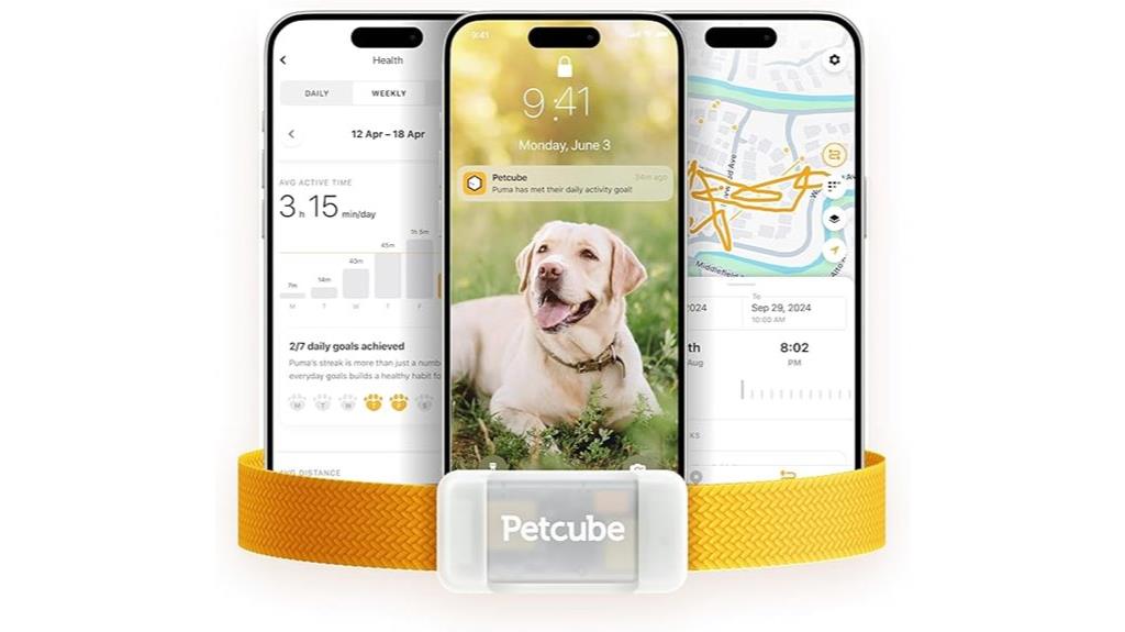 dog gps tracker device