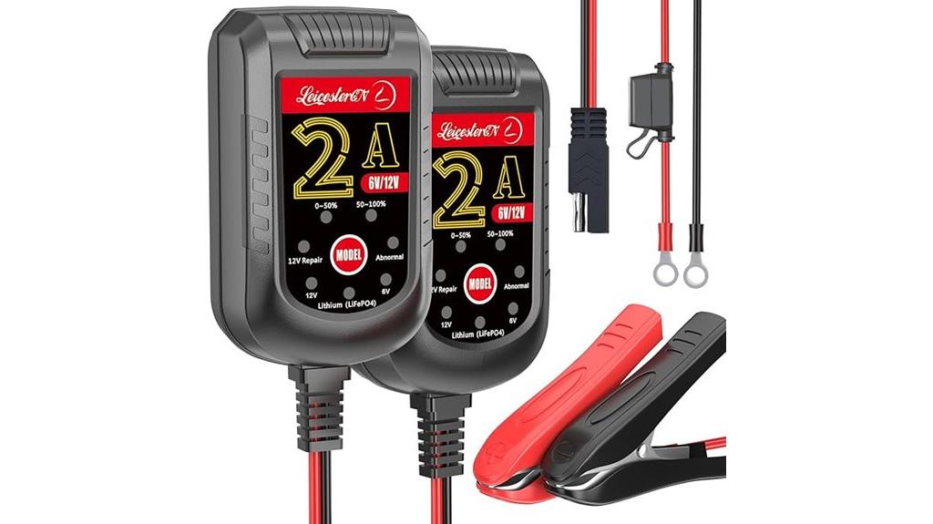 dual voltage battery charger