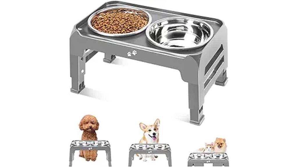 elevated bowls for dogs