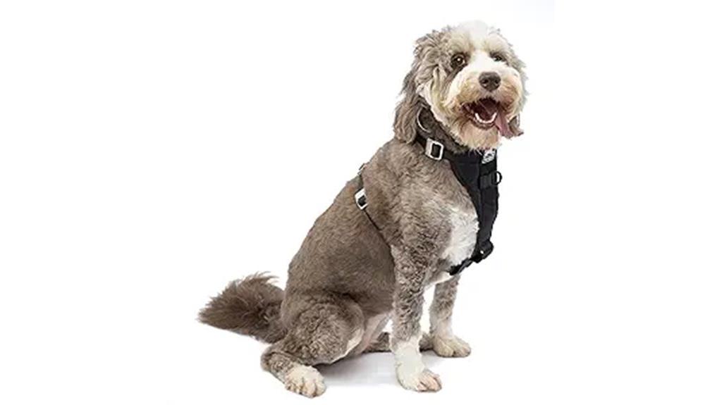 heavy duty dog harness