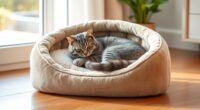 luxury orthopedic cat beds